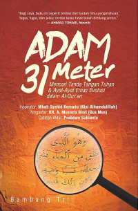 Image of Adam 31 Meter