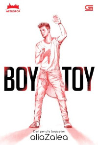 Image of Boy Toy