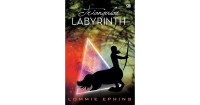 Image of Triangular Labyrinth